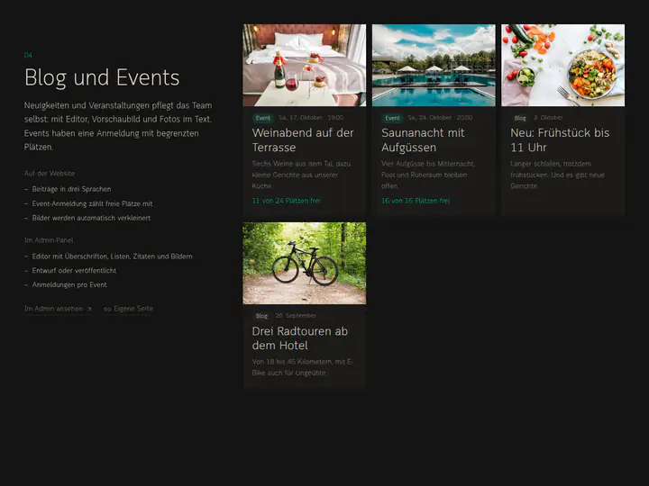 Live-Demo von Steyer Studio: Blog und Events